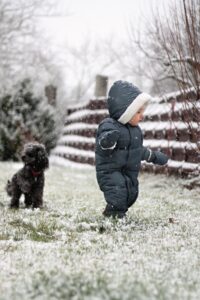 Ein Kleinkind im Schneeanzug läuft im Schnee. Im Hintergrund steht ein schwarzer, kleiner Pudel, der seinen Blick vom Kind abgewandt hat